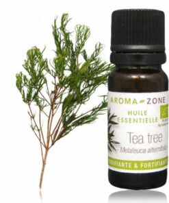 Tea tree Bio - Huile essentielle