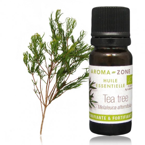 Huile essentielle biologique Arbre à thé, Tea tree (Melaleuca alternifolia)