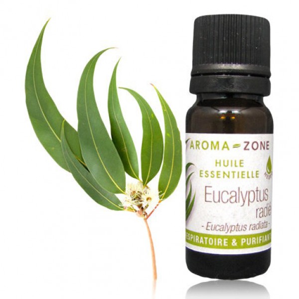 AROMA ZONE - HUILE ESSENTIELLE EUCALYPTUS RADIE BIO