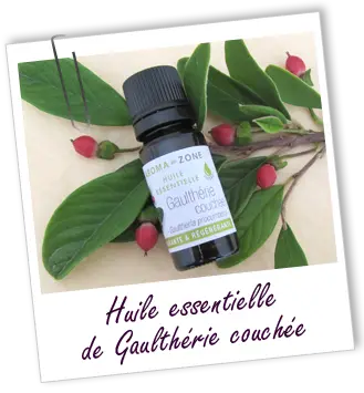 Gaulthérie Couchée BIO Huile Essentielle