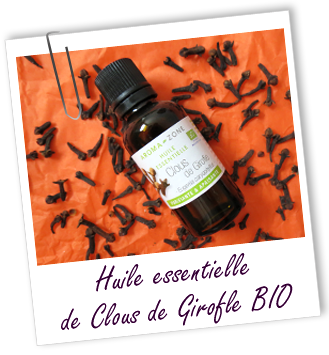 Huile essentielle de clou de girofle bio